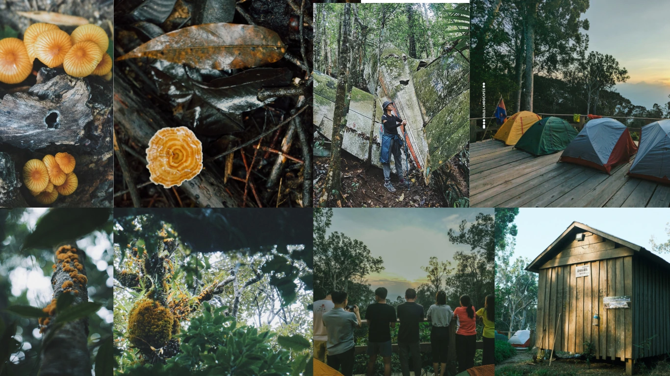 Tour image 6