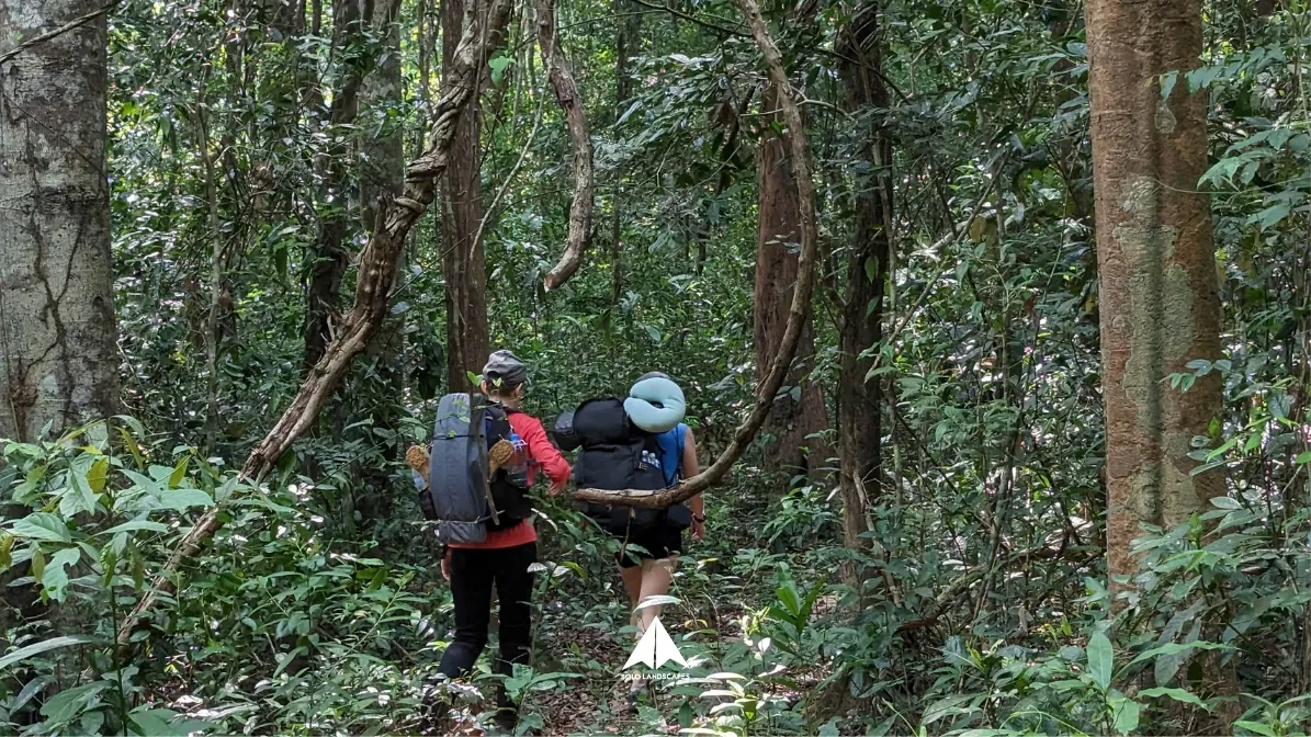 Tour image 8