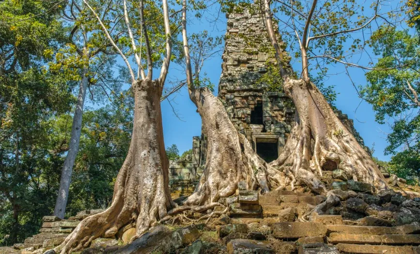 Tour image 6