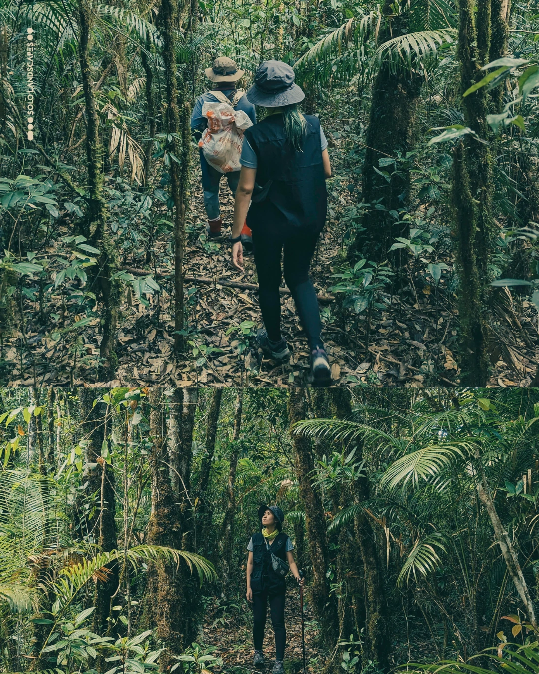 Tour image 6